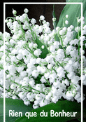 Muguet en fleurs pour des jours heureux